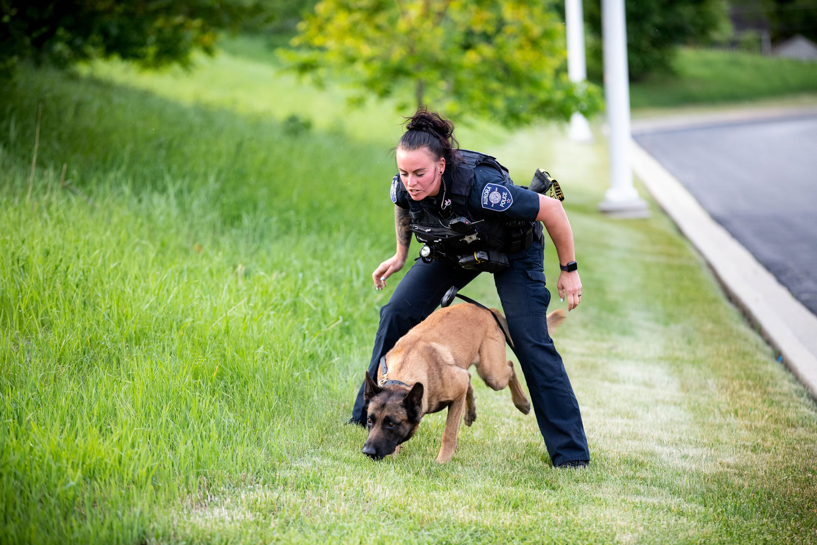 K9 Training